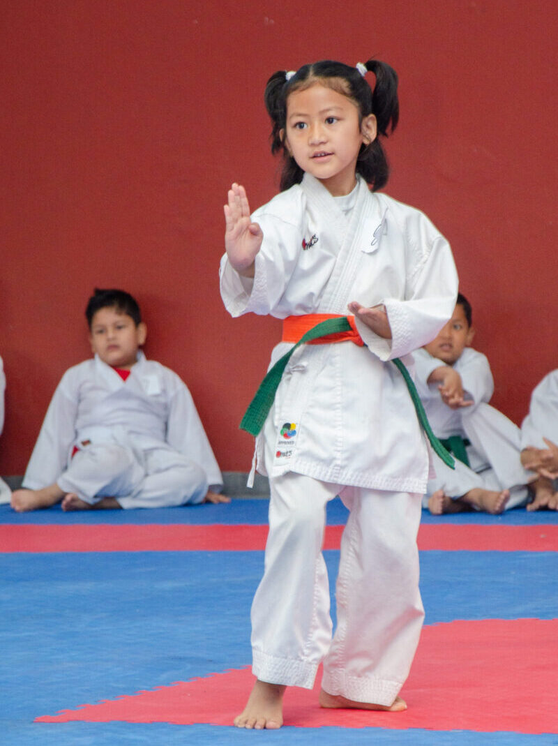 Martial arts academy child